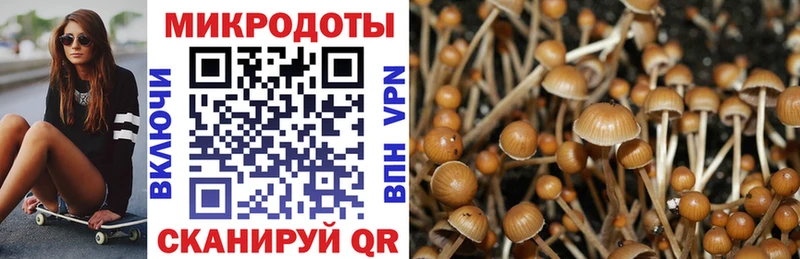 Купить где  Омск  Галлюциногенные грибы прущие грибы 